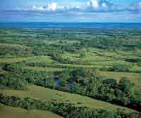 Planicie de inundaci�n en el r�o Meta.