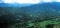 La profunda disecci�n del sustrato cre� formas de relieve rodeadas por la exuberante vegetaci�n de la selva del piedemonte.