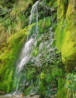 Ca�da de agua en el p�ramo de Chingaza.