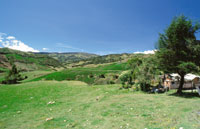 Frontera agr�cola en el p�ramo de Sumapaz.
