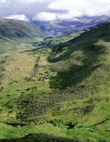 Profundo valle glaciar, con marcada actividad humana en el l�mite entre el bosque y el p�ramo.