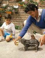 La guagua de p�ramo, Agouti taczanowiski, es una especie de fauna de la alta monta�a, f�cilmente domesticable.