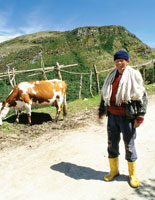 El campesino del p�ramo complementa su econom�a con la actividad ganadera en peque�a escala.