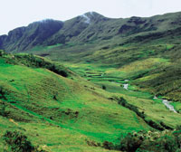 En el p�ramo de Sumapaz se hace evidente la intensa utilizaci�n de la tierra para agricultura y pastoreo, lo que transforma el pajonal frailejonal en un prado rasante.