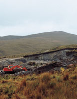 La explotaci�n minera a cielo abierto en el p�ramo hace necesaria la aplicaci�n de t�cnicas adecuadas para la restauraci�n ecol�gica.