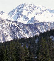 Aspecto de los Alpes en invierno. La similitud de este paisaje con los lugares que tienen condiciones clim�ticas extremas en  las altas monta�as tropicales, dio origen a la denominaci�n de 