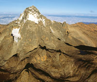 En el Monte Kenia los pisos altitudinales presentan notorias equivalencias de vegetaci�n y formas de vida con los Andes tropicales. A partir de los 2.500 m de altitud, sobre los bosques de bamb�, aparecen extensos matorrales de eric�ceas con rododendros q