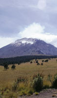 Volc�n Popocat�petl, M�xico. Los extensos pajonales conocidos como zacatonal se encuentran en el l�mite norte de la zona tropical; por esta raz�n tienen una gran influencia clim�tica y flor�stica de la zona subtropical.