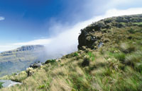 P�ramo de Iguaque.