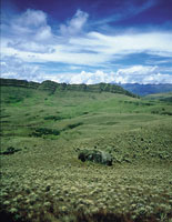 P�ramo bien consolidado en la regi�n de Sumapaz, uno de los m�s extensos sobre la cordillera Oriental, donde la estratificaci�n del relieve evidencia su origen sedimentario y marino.