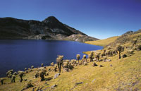 Laguna de superp�ramo en la Sierra Nevada del Cocuy.