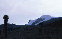 Paisaje del superp�ramo en un d�a nublado durante la temporada de invierno. Nevado de Santa Isabel, cordillera Central.