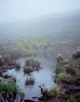 Dos aspectos de la laguna de Iguaque, en un mismo d�a.