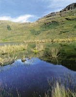  Dos aspectos de la laguna de Iguaque, en un mismo d�a 