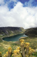 Paisaje de la laguna Verde, en el Parque Nacional Natural de los Nevados, cerrada en el fondo por el flujo de grandes coladas de lava volc�nica, que en el pasado contribuyeron a su formaci�n.