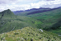 P�ramo de Sumapaz.