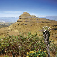 P�ramo de Ocet�, Boyac�.