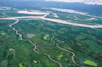 Aguas abajo el r�o se divide en varios brazos que forman islas fluviales.