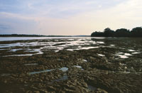 La acumulaci�n de limos, arenas y arcillas ha dado origen al paisaje de planicie.