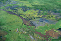 La depresi�n Momposina y la regi�n de la Mojana, por recibir aportes del Magdalena, el Cauca, el San Jorge y el Cesar, son �reas muy importantes para la regulaci�n fluvial y lacustre en el Bajo Magdalena.