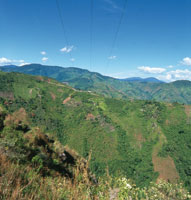 Las actividades ganaderas y el cultivo del caf�, han sido  fuentes de riqueza en el Alto Magdalena.