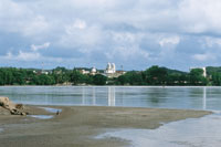 En los alrededores de La Dorada se establecieron grandes haciendas productoras de arroz, cacao y algod�n.