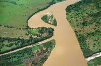 Las actividades productivas, asociadas a la ganader�a y a la agricultura, condujeron a la desaparici�n de la selva basal.