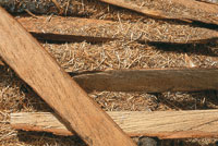 La fauna y la flora asociadas al cauce del r�o fueron base del sustento de la poblaci�n ribere�a.