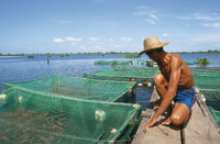 La mayor producci�n pesquera en aguas continentales se da en el r�o Magdalena.