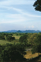 Durante la etapa precolombina, en la colonia y en la actualidad, la mayor parte de la poblaci�n del territorio colombiano ha derivado su sustento de los ecosistemas de la cuenca del magdalena. El rio ha sido fuente de vida y debe continuar si�ndolo para b