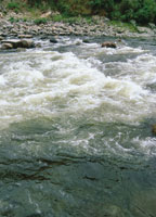 A la altura de Pitalito, en el Alto Magdalena, la corriente baja con gran fuerza.