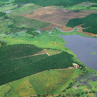 Con el fin de optimizar la producci�n agr�cola, en muchas zonas cercanas al rio se usan, de manera intensiva, fertilizantes y compuestos qu�micos para controlar las plagas.