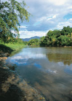 En la actualidad las riberas del Magdalena conservan sitios que mantienen parte del encanto y la pureza que cautiv� a los primeros pobladores y expedicionarios.