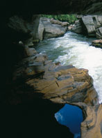 �Por eso, para que Srekollimisak vuelva, hay que reconstruir su casa, hay que reconstruir la naturaleza. Hay que reconstruir la casa del Srekollimisak