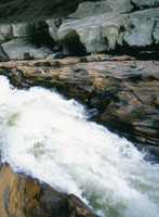 �Por eso, para que Srekollimisak vuelva, hay que reconstruir su casa, hay que reconstruir la naturaleza. Hay que reconstruir la casa del Srekollimisak