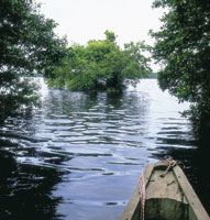 El sue�o de El Dorado anim� a los conquistadores para buscar una ruta hacia el misterioso sur, a trav�s de una naturaleza inh�spita y desconocida.