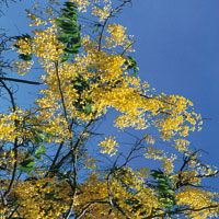 Ante la dificultad de ingresar al Magdalena por el delta, los espa�oles se aventuraron a trav�s de manglares y pantanos, o bordeando la Sierra Nevada hacia el oriente, para encontrar la forma de remontar el esquivo r�o.
