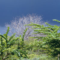 Ante la dificultad de ingresar al Magdalena por el delta, los espa�oles se aventuraron a trav�s de manglares y pantanos, o bordeando la Sierra Nevada hacia el oriente, para encontrar la forma de remontar el esquivo r�o.