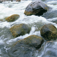 Ca��n del r�o Magdalena.