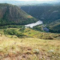 El r�o Magdalena nace en el Macizo Colombiano, en las altas cumbres de la cordillera Central y recorre m�ltiples ambientes como nevados, p�ramos, bosques andinos, sabanas y valles inundables. R�o Magdalena en Timan�.