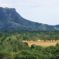 El r�o Magdalena nace en el Macizo Colombiano, en las altas cumbres de la cordillera Central y recorre m�ltiples ambientes como nevados, p�ramos, bosques andinos, sabanas y valles inundables. Valle medio del Magdalena.