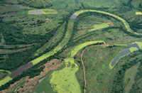 La depresi�n Momposina se form� por el movimiento de placas tect�nicas, lo que produjo el hundimiento de la regi�n, varios metros por debajo del nivel del mar.