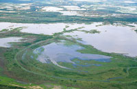 La depresi�n Momposina se form� por el movimiento de placas tect�nicas, lo que produjo el hundimiento de la regi�n, varios metros por debajo del nivel del mar.