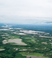 La depresi�n Momposina se form� por el movimiento de placas tect�nicas, lo que produjo el hundimiento de la regi�n, varios metros por debajo del nivel del mar.