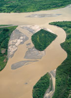 A lo largo de su recorrido y debido a las fluctuaciones del nivel de las aguas, el r�o rebasa su cuenca e inunda los terrenos aleda�os. La fauna y la flora de las riberas se han adaptado a las condiciones particulares de este ambiente ef�mero.
Isla tempor