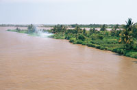 A lo largo de su recorrido y debido a las fluctuaciones del nivel de las aguas, el r�o rebasa su cuenca e inunda los terrenos aleda�os. La fauna y la flora de las riberas se han adaptado a las condiciones particulares de este ambiente ef�mero. En la desem