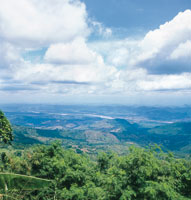 Valle del Magdalena antes de llegar a los r�pidos de Honda.