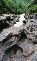 La interacci�n del agua con las distintas geoformas caracter�sticas del pa�s, narra la historia geol�gica de la cuenca del Magdalena, una historia que no ha terminado de escribirse. Estrecho del Magdalena.