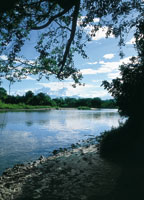 R�o Magdalena en las proximidades de Neiva.