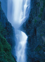 La gran riqueza h�drica, unida a la radiaci�n solar directa sobre la franja del ecuador, le confiere a los ecosistemas tropicales un ambiente propicio para el desarrollo de una magn�fica biodiversidad.